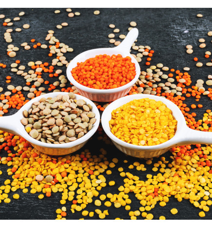 Le Trio de Lentilles - 100 g - The Snail's Apothecary