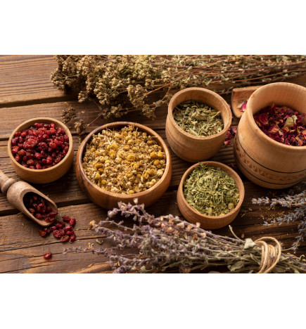 Reload The Purifying Bath - Infusion for Snails - The Snail's Apothecary