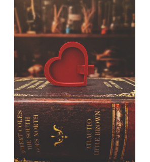 Mangeoire en forme de coeur rouge avec escalier pour Cloportes / Isopodes