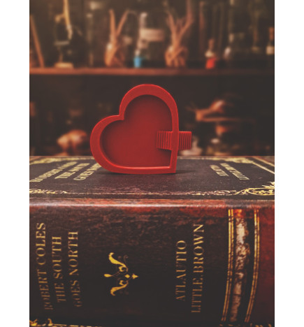 Mangeoire en forme de coeur rouge avec escalier pour Cloportes / Isopodes