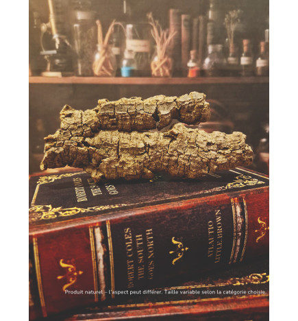 Écorce en liège naturel