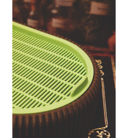 Germoir pour graine à germer - The Snail's Apothecary