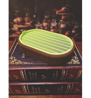 Germoir pour graines à germer marron / vert pomme