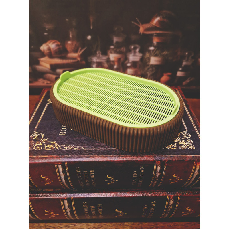 Germoir pour graine à germer - The Snail's Apothecary