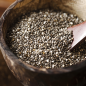 Chia Sprouting Seeds - The Snail's Apothecary