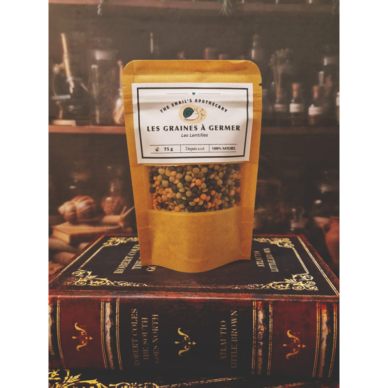 Sprouting Seeds – Lentils – The Snail’s Apothecary