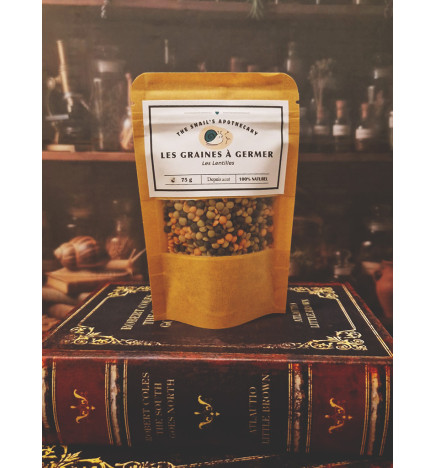 Sprouting Seeds – Lentils – The Snail’s Apothecary