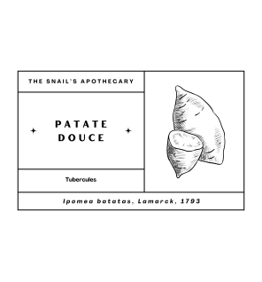 Chips de Patate Douce  - 15g - The Snail's Apothecary