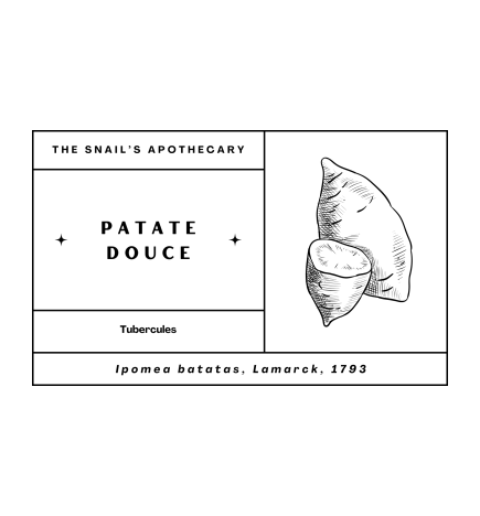 Chips de Patate Douce  - 15g - The Snail's Apothecary