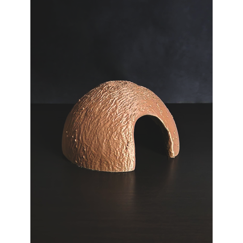 Cachette Demi Noix de Coco - The Snail's Apothecary