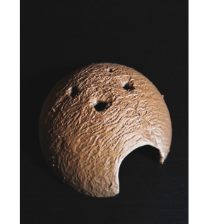 Cachette Demi Noix de Coco - The Snail's Apothecary