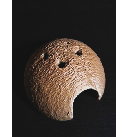 Cachette Demi Noix de Coco - The Snail's Apothecary